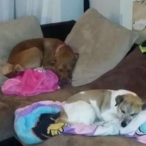 Meet your Posher, Nick